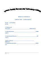 Assignment (2).docx